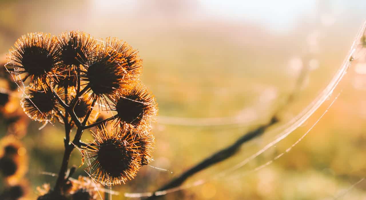 expanse therapy budapest